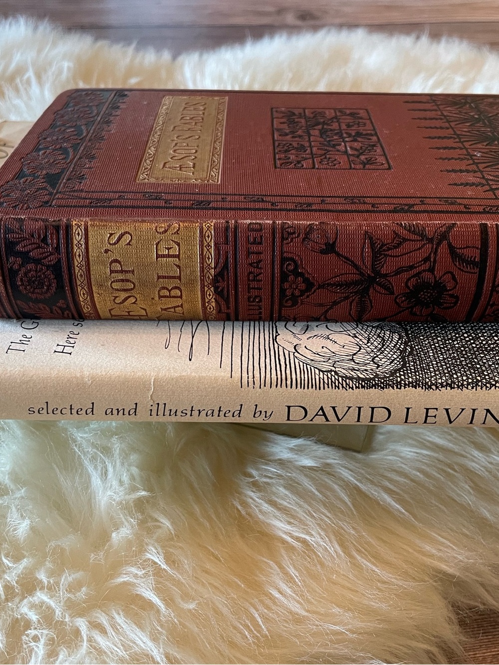1st Editions The Fables of Aesop ~ 1882 and 1975 - Picture 8 of 11